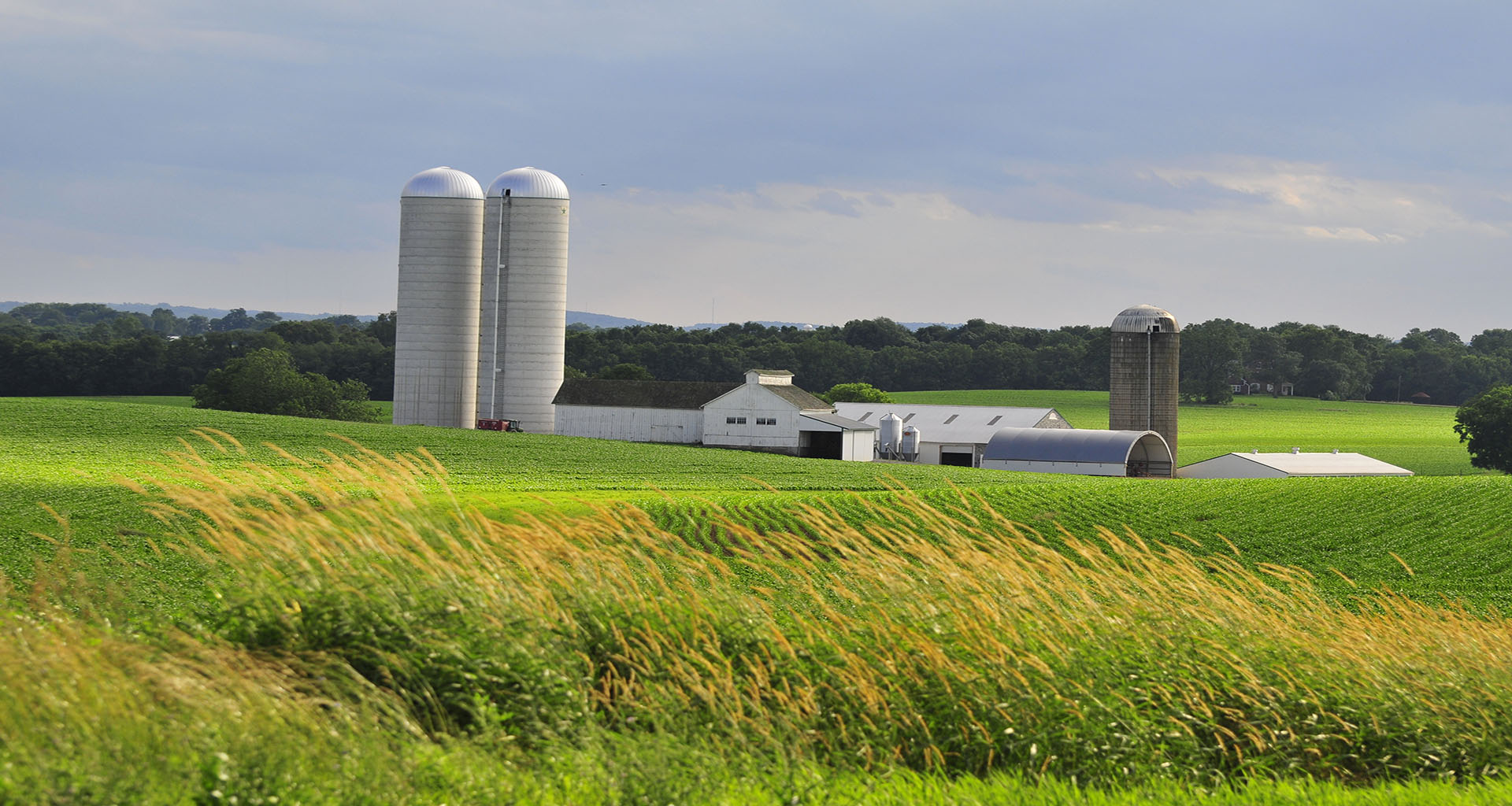 Build your server farm on Rock Silo Hardware